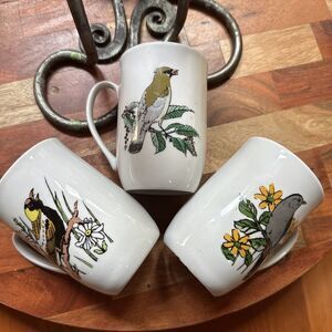 Leonard Bird Coffee Mugs Set of 3 Porcelain Cups, Made in Poland